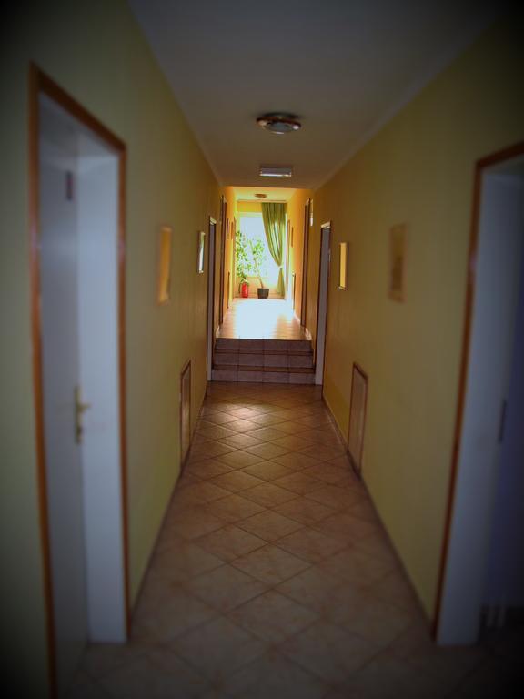 B&B Villa Evandjelina Sremska Kamenica Екстер'єр фото