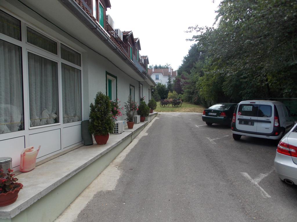 B&B Villa Evandjelina Sremska Kamenica Екстер'єр фото