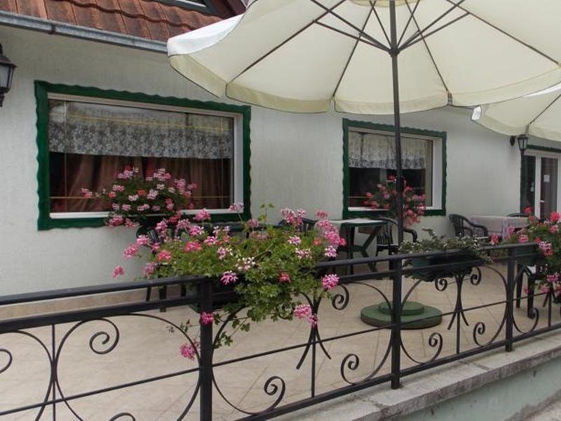B&B Villa Evandjelina Sremska Kamenica Екстер'єр фото