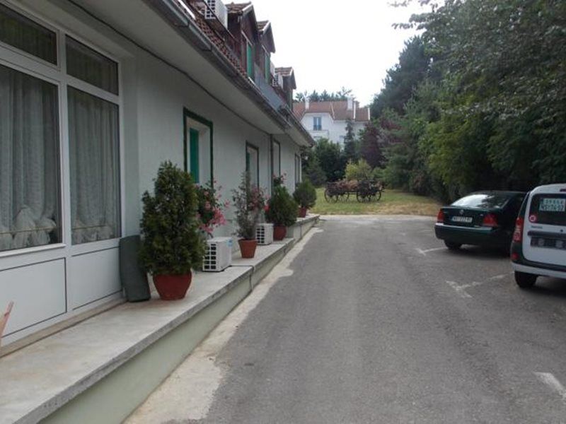 B&B Villa Evandjelina Sremska Kamenica Екстер'єр фото